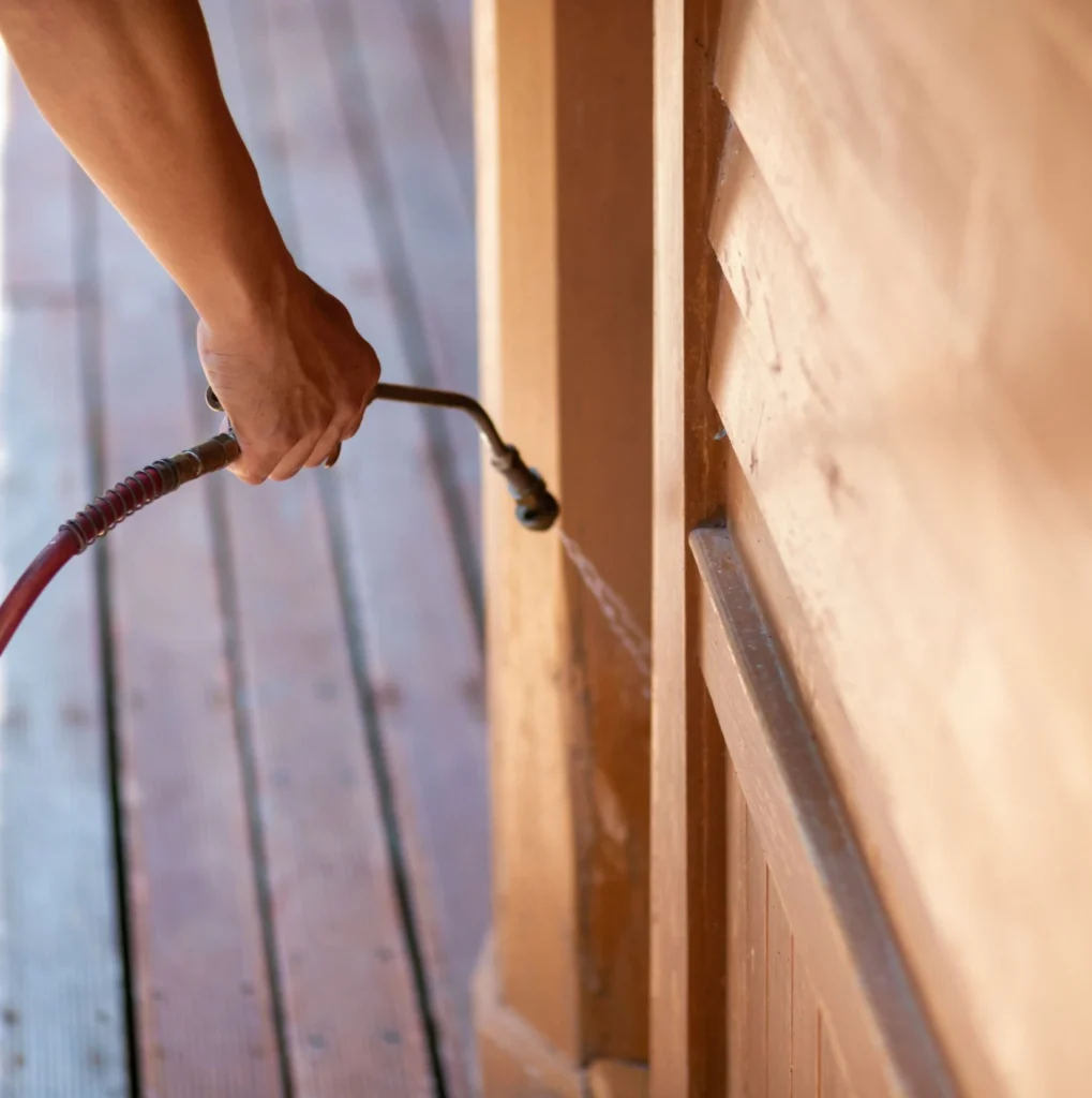 Trusted Pest Control - Willingboro Pest Control Pros | Willingboro, NJ | 551-733-2442
